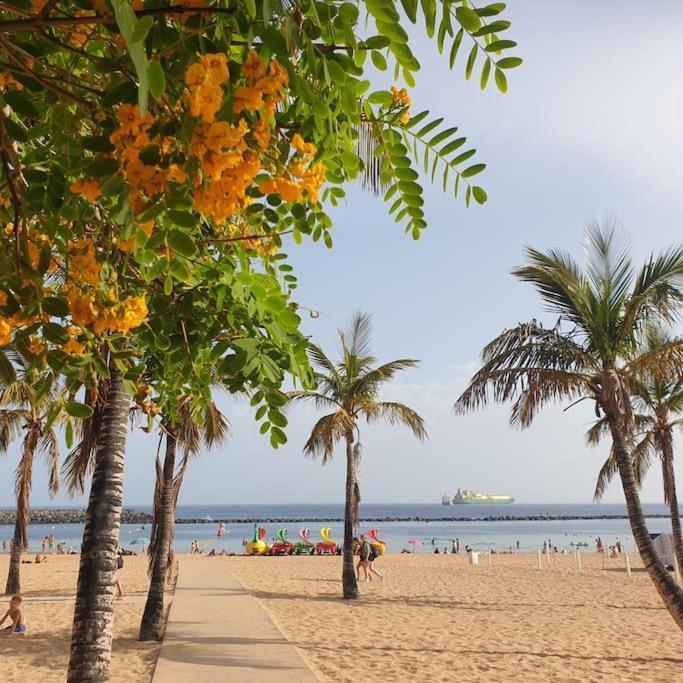 San Andres Beach View Apartment Ngoại thất bức ảnh